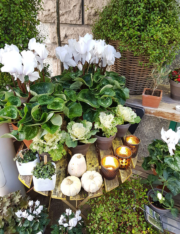 fleuriste d'évènements d'entrperise Vienne 38