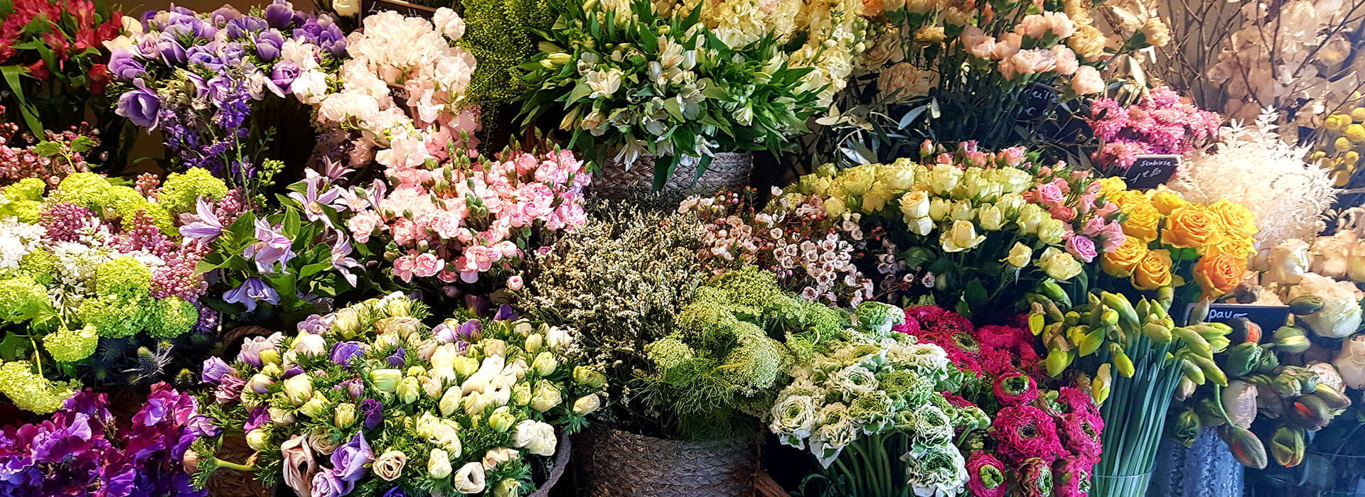 Fleuriste Pont-Evêque